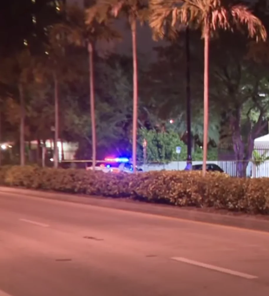 hit and run crash pinellas police